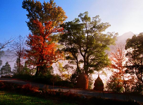 满目秋色夕照明(龙门景区)